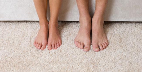 Como limpar carpetes e tapetes