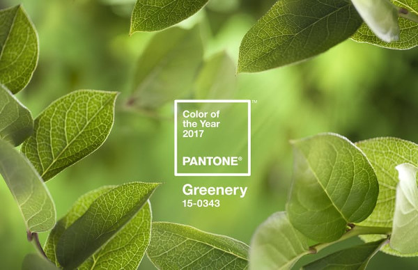 Greenery é a cor de Pantone para o ano de 2017