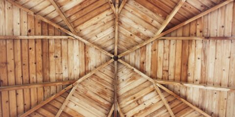 Incorpore Elementos Naturais na Decoração de Interiores