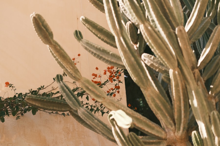 Decoração ao Estilo Rústico