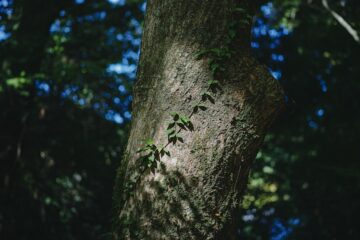 Iluminação de Destaque: Onde e Como Usar Spots de Embutir para Valorizar a Decoração da Sala de Estar